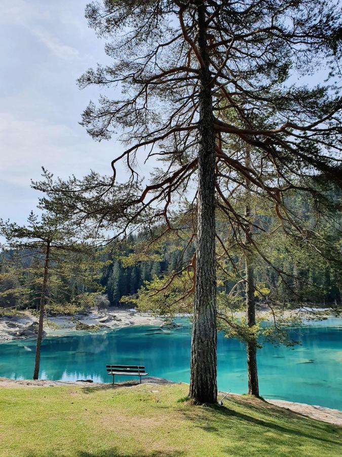 Ferienwohnung Stenna Selva An Toplage Flims Bagian luar foto