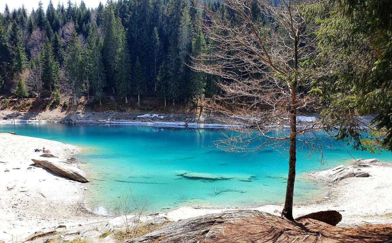 Ferienwohnung Stenna Selva An Toplage Flims Bagian luar foto